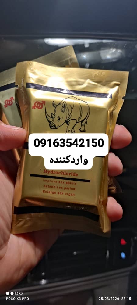 کرگدن مردانه